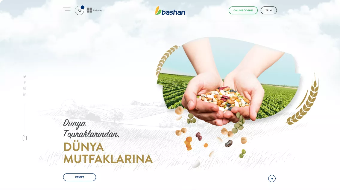 Başhan