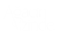 Ağacın İzinde